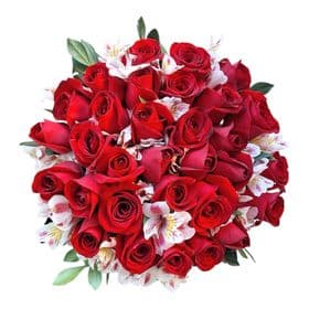 Buque de 30 rosaa Vermelhas e Astromélias Rosa